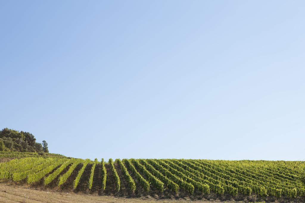 Quercia Al Poggio Villa Barberino di Val dʼElsa Екстериор снимка