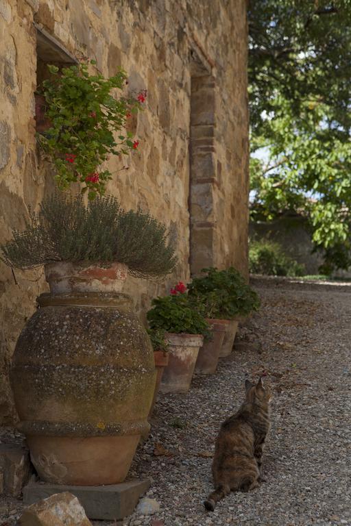 Quercia Al Poggio Villa Barberino di Val dʼElsa Екстериор снимка